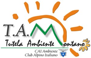 Logo TAM