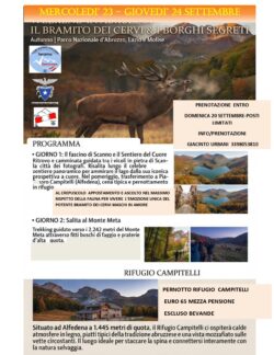 23-24 SETTEMBRE IL BRAMITO DEI CERVI TRA LA FAGGETA DEL MONTE META & I BORGHI SEGRETI